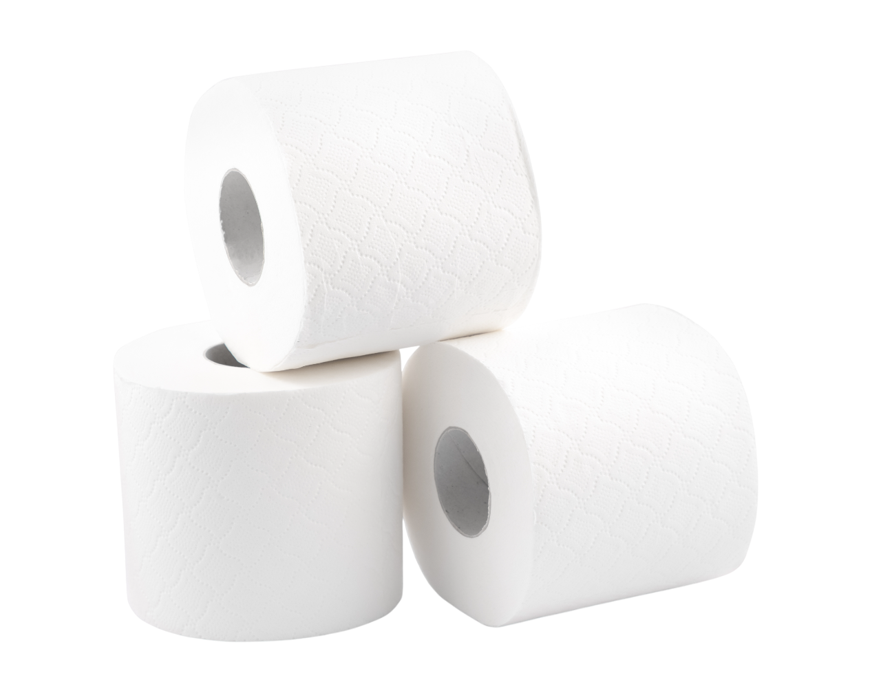Recycled Paper Toilet Paper